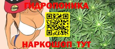 амф Обь