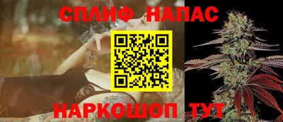 амф Обь