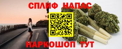 амф Обь