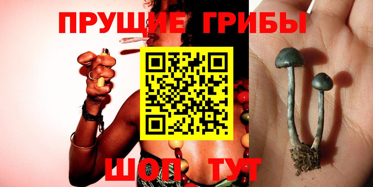 Псилоцибиновые грибы мухоморы  Галлюциногенные грибы мицелий  Фурманов  Вход с VPN 