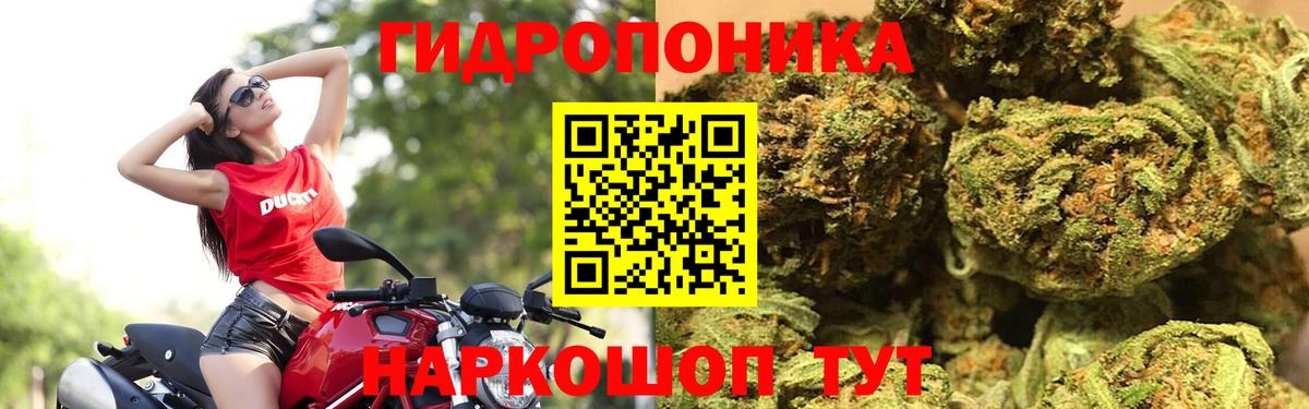 Фурманов  Шишки марихуана VHQ  МАРИХУАНА сатива  Бошки Шишки план  Вход с VPN 